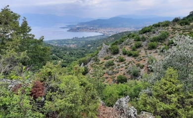 Idealne miejsce na piesze wędrówki? Góry Galiczica (Macedonia)