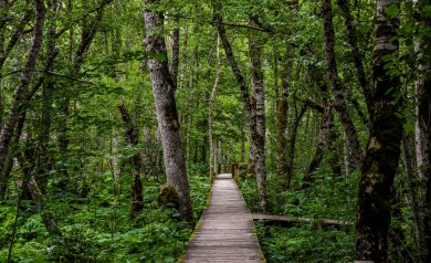 Biogradska Gora – doskonały przykład ochrony natury?