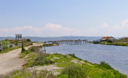 wycieczka Spływ kajakowy po zatoce Morza Adriatyckiego – Karavasta