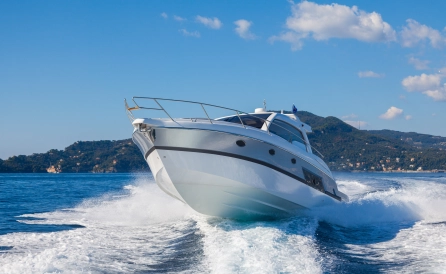 wycieczka Odyssey Boat Safari