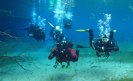 wycieczka Nurkowanie w podwodnym świecie Jeziora Ochrydzkiego