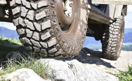 wycieczka Jeep Safari