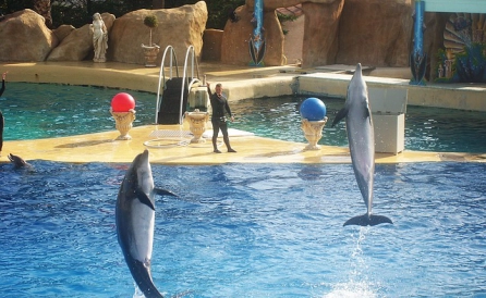 wycieczka Marineland