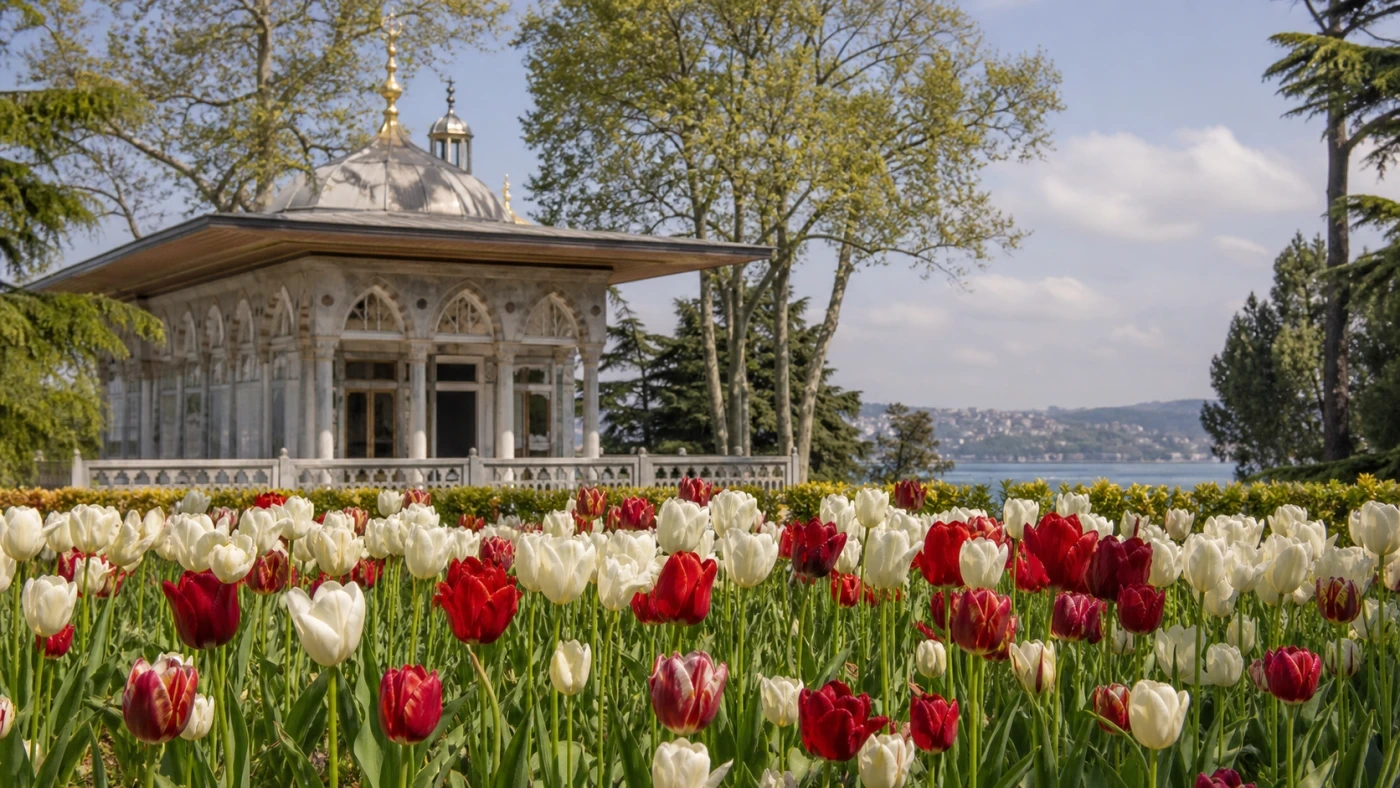 Fotorealistyczna ilustracja podróżnicza: Tureckie korzenie tulipanów