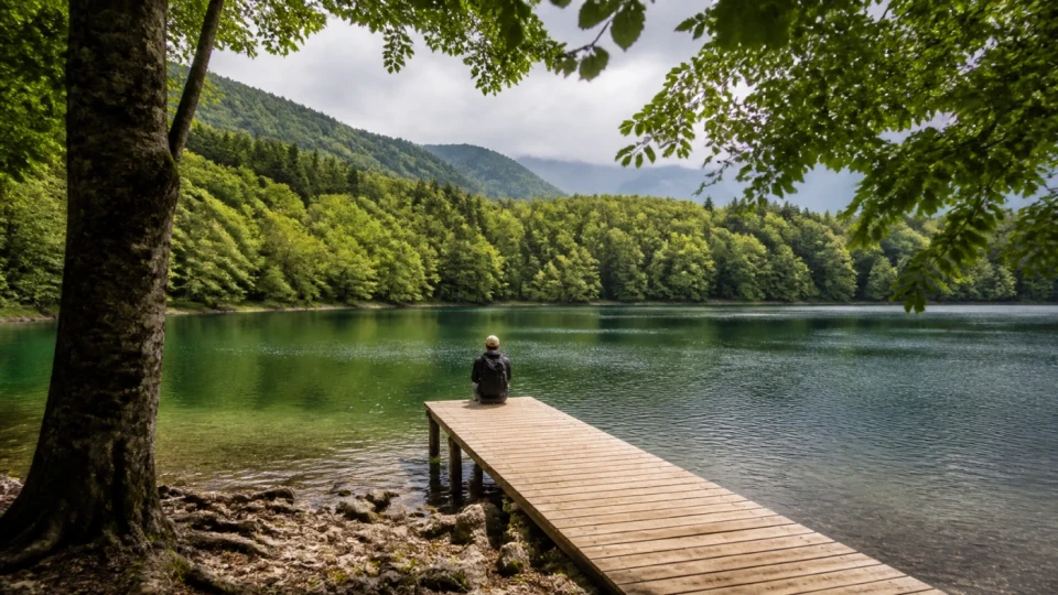 Fotorealistyczna ilustracja podróżnicza: Biogradska Gora – doskonały przykład ochrony natury?