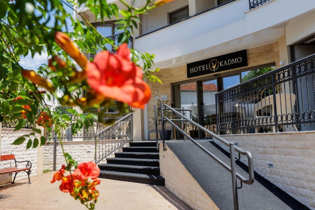 Oferta Hotel Kadmo (PKT) – miniaturka 2