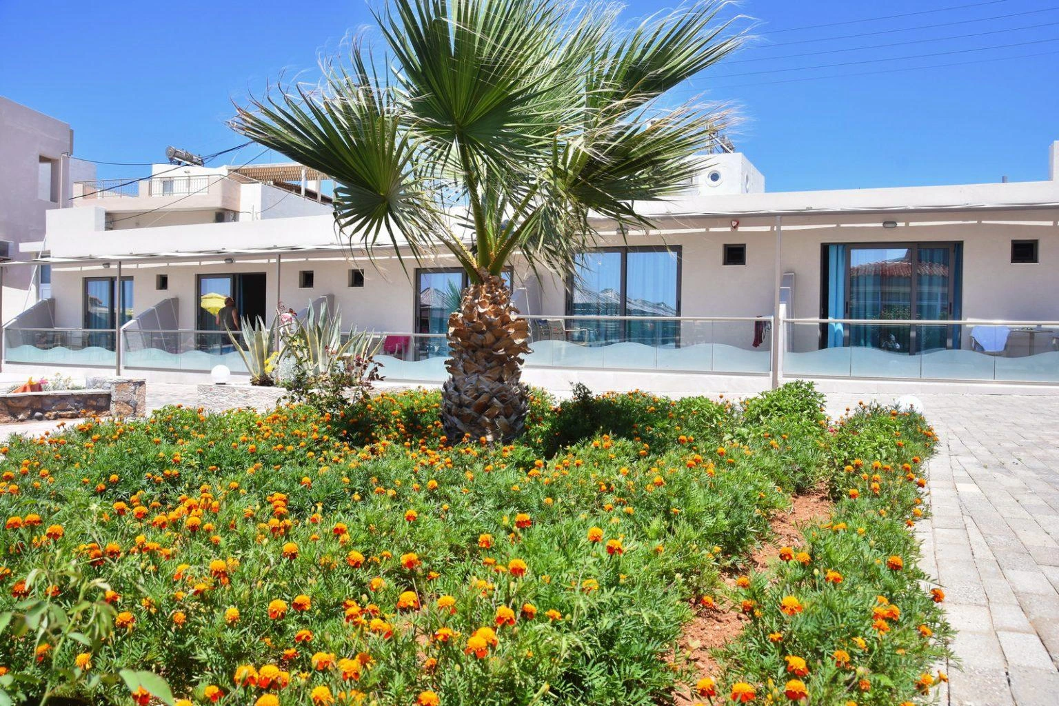 Oferta Hotel Kalia Beach – zdjęcie 2
