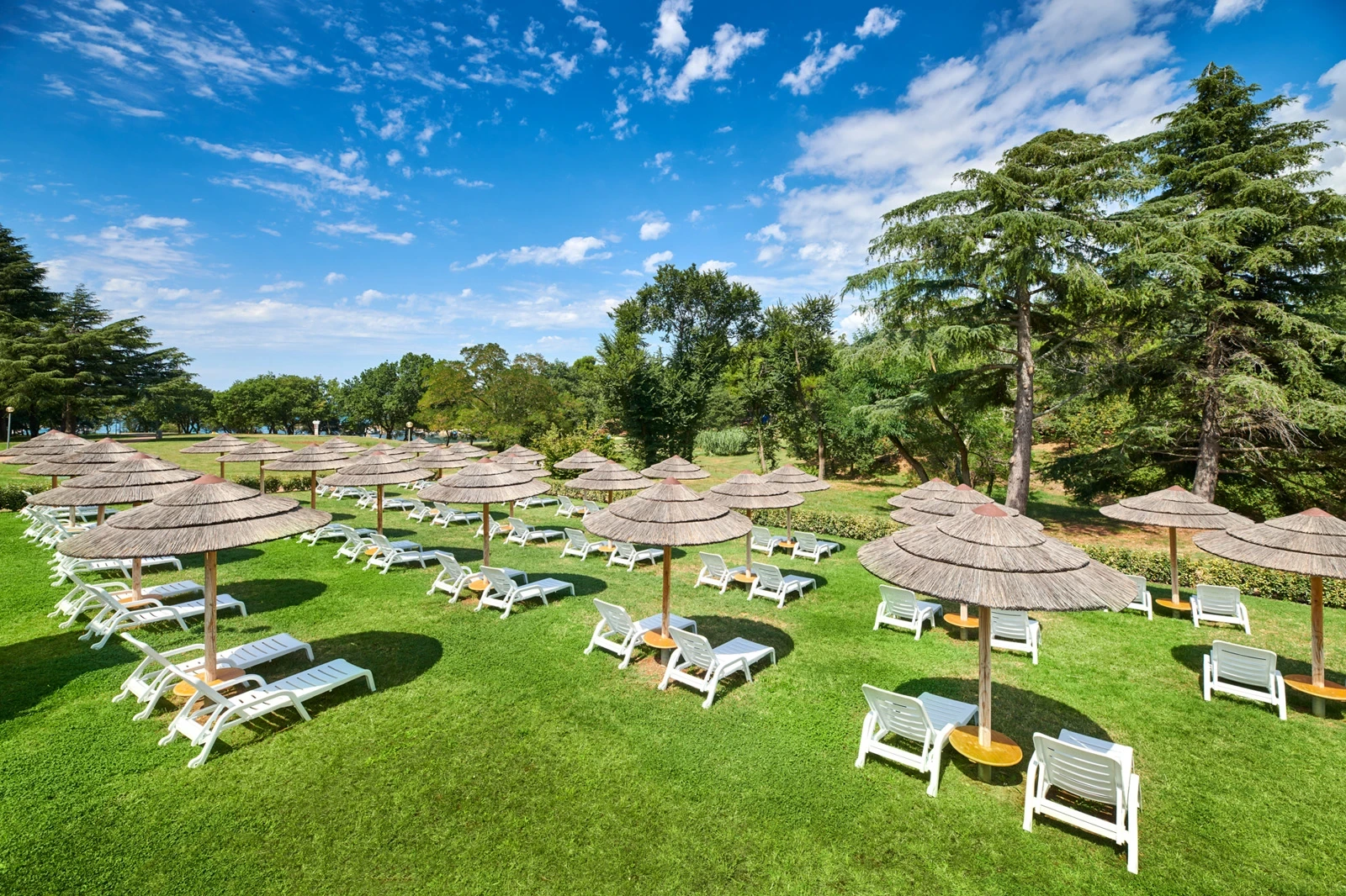 Oferta Hotel Mediteran Plava Laguna – zdjęcie 5