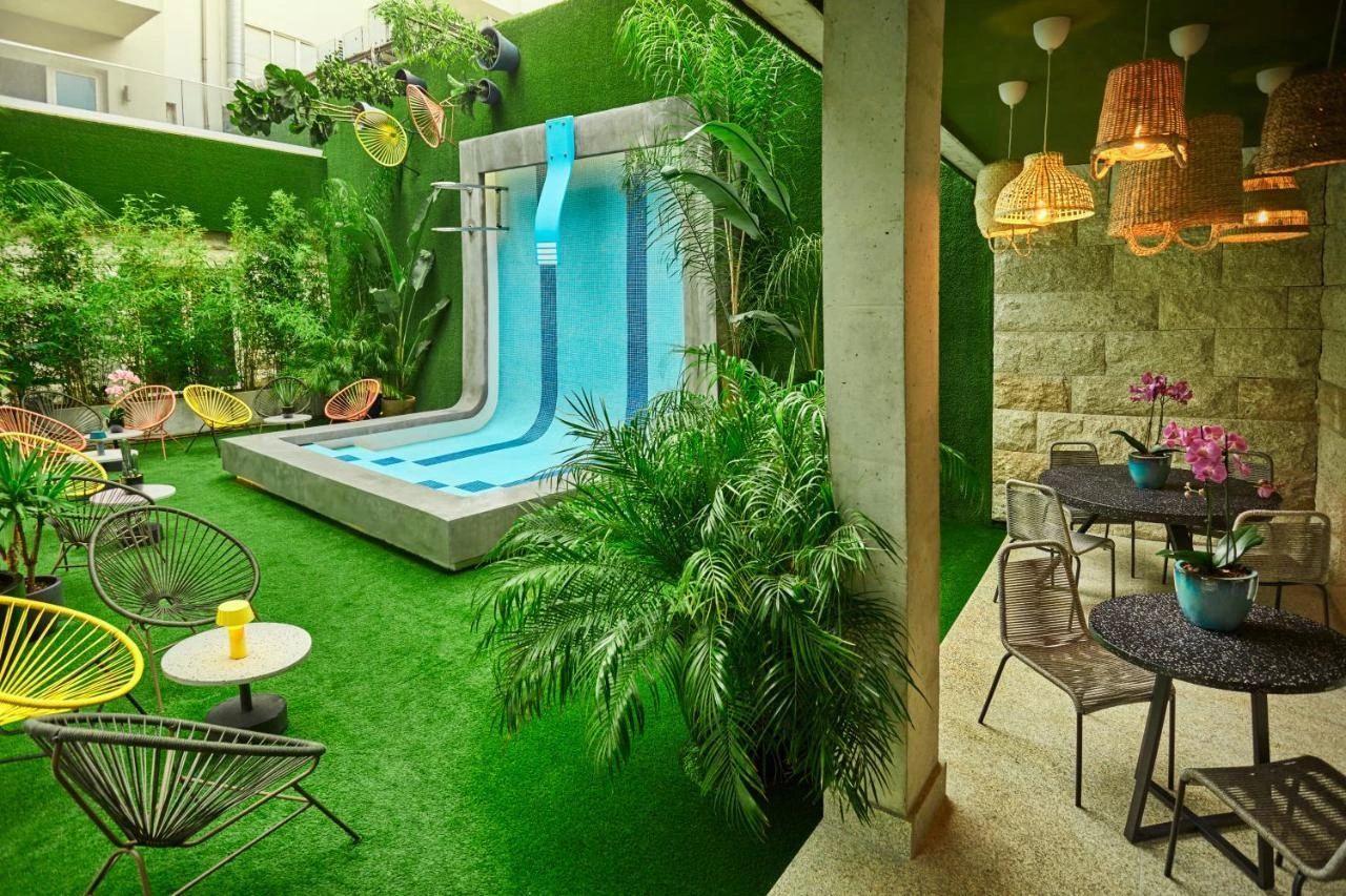 Oferta Chic & Basic Gravity – zdjęcie 3