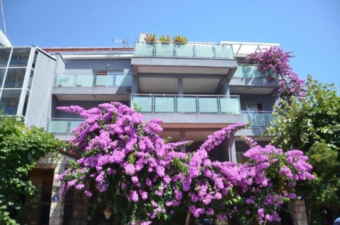Oferta Hotel Aquarius – zdjęcie 4