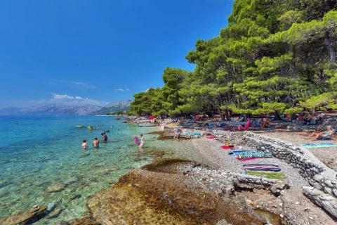 Oferta Hotel Alemaris Tourist Resort – zdjęcie 2