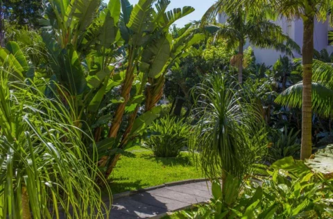 Oferta Hotel Dorisol Estrelicia – zdjęcie 3