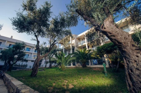 Oferta Hotel Vile Oliva & Resort – zdjęcie 2
