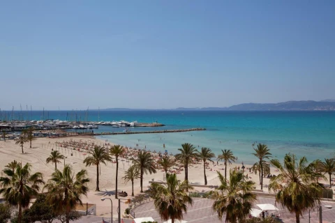 Oferta Hotel Whala! Beach – zdjęcie 4