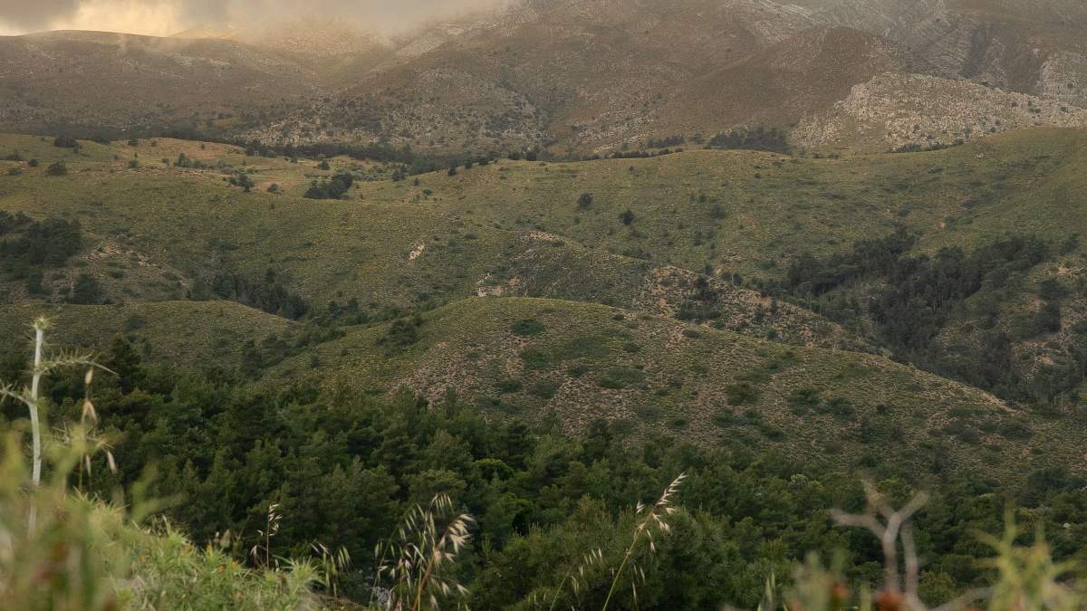 Zielone wzgórza Rodos pod zachmurzonym niebem