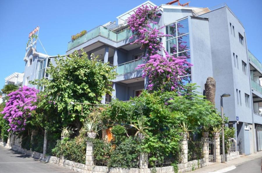 Oferta Hotel Aquarius – miniaturka 3