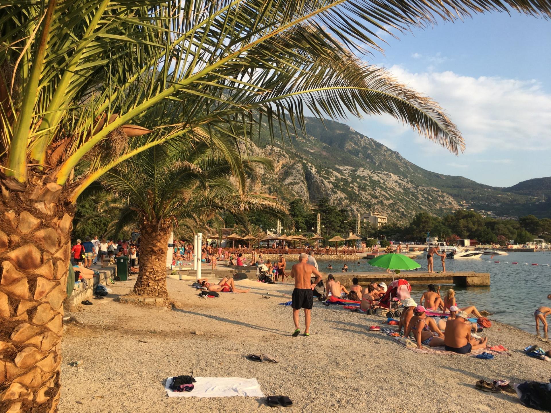 Oferta Hotel Dimic Ellite – zdjęcie 1