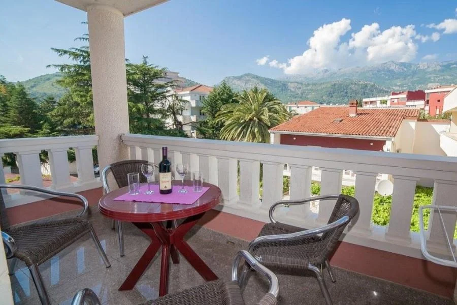 Oferta Hotel Dimic Ellite – miniaturka 3