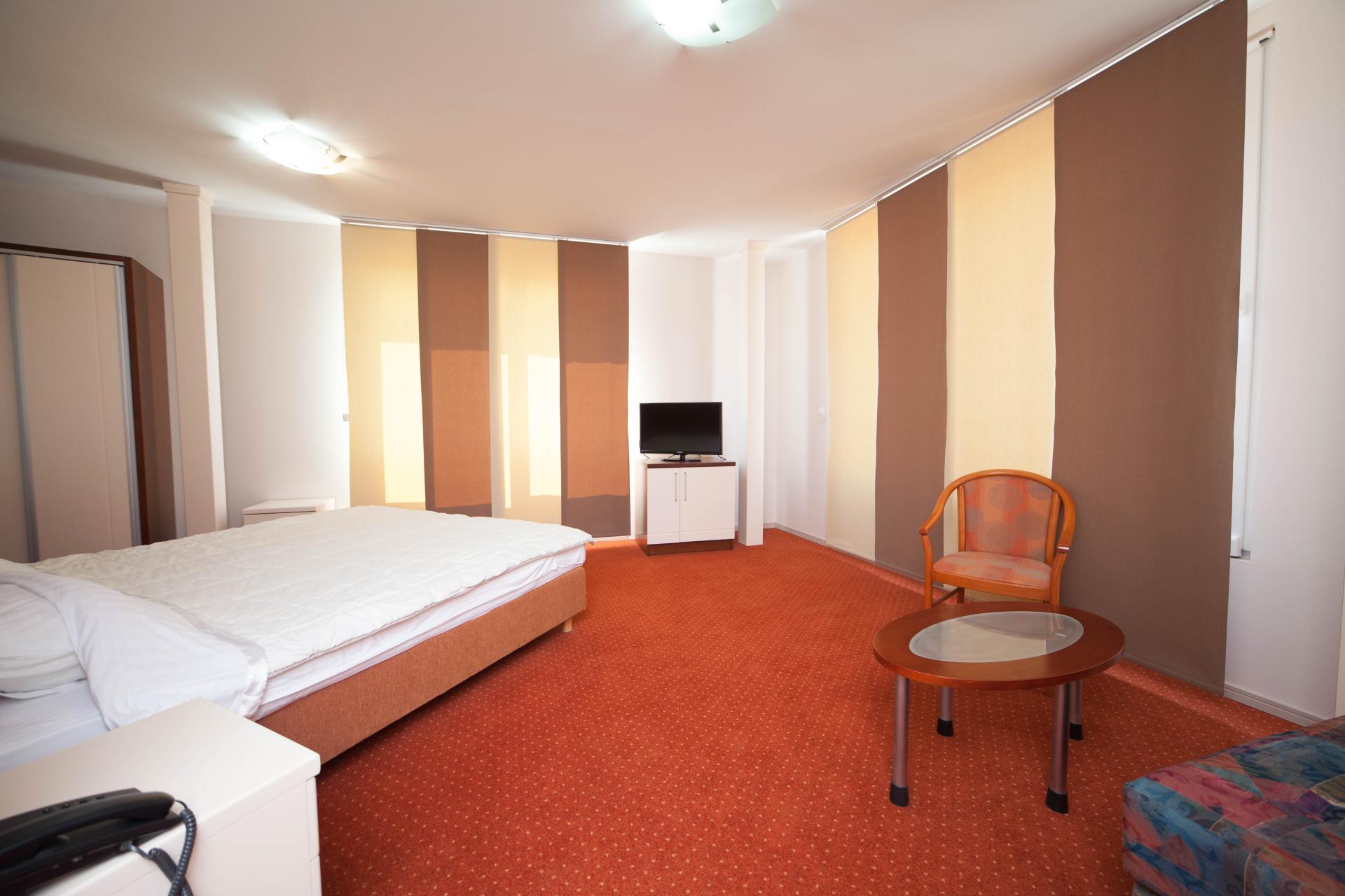 Oferta Hotel Lebed – miniaturka 2