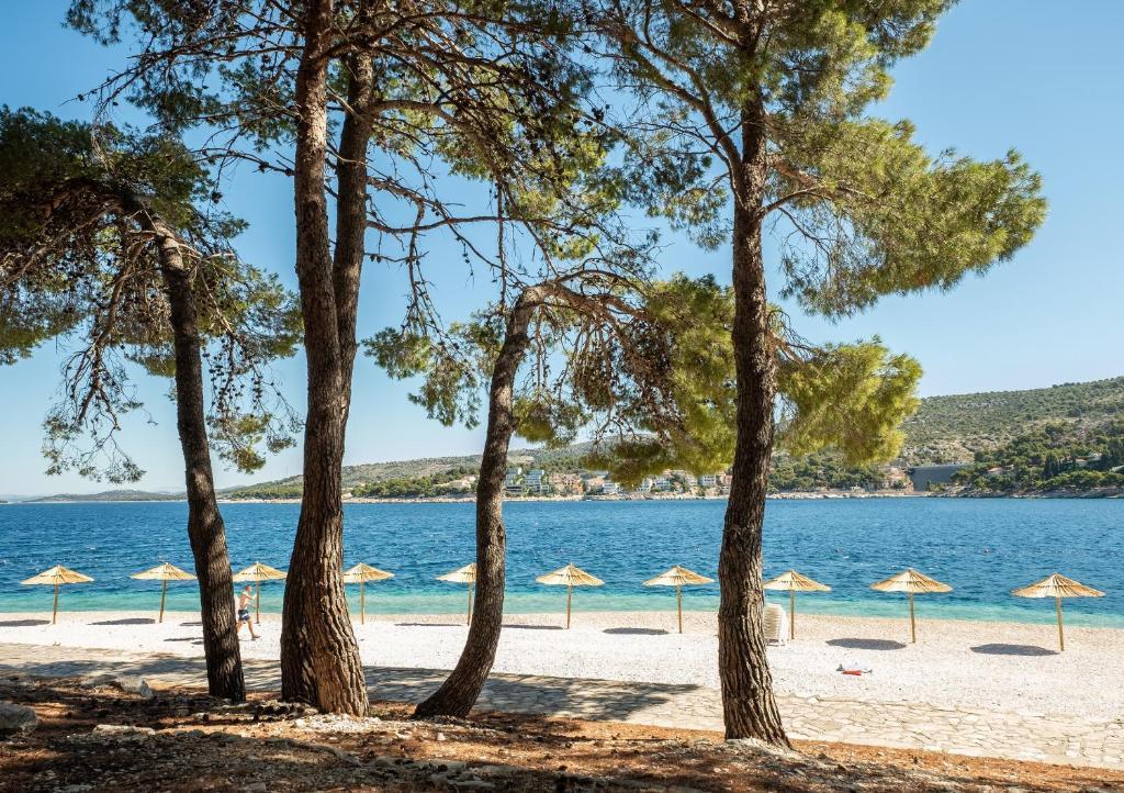 Oferta Hotel Zora – miniaturka 4