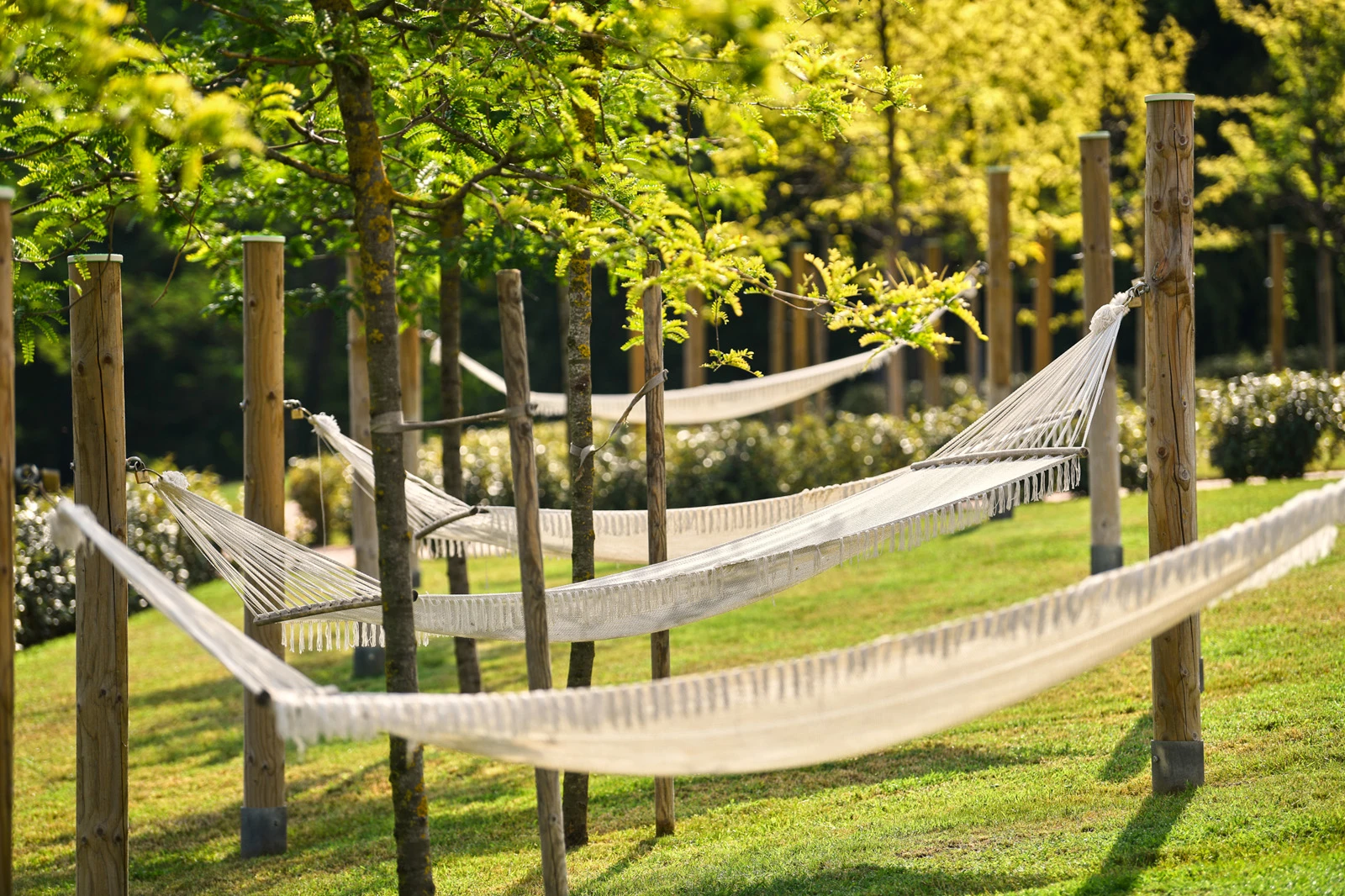 Oferta Hotel Mediteran Plava Laguna – miniaturka 4