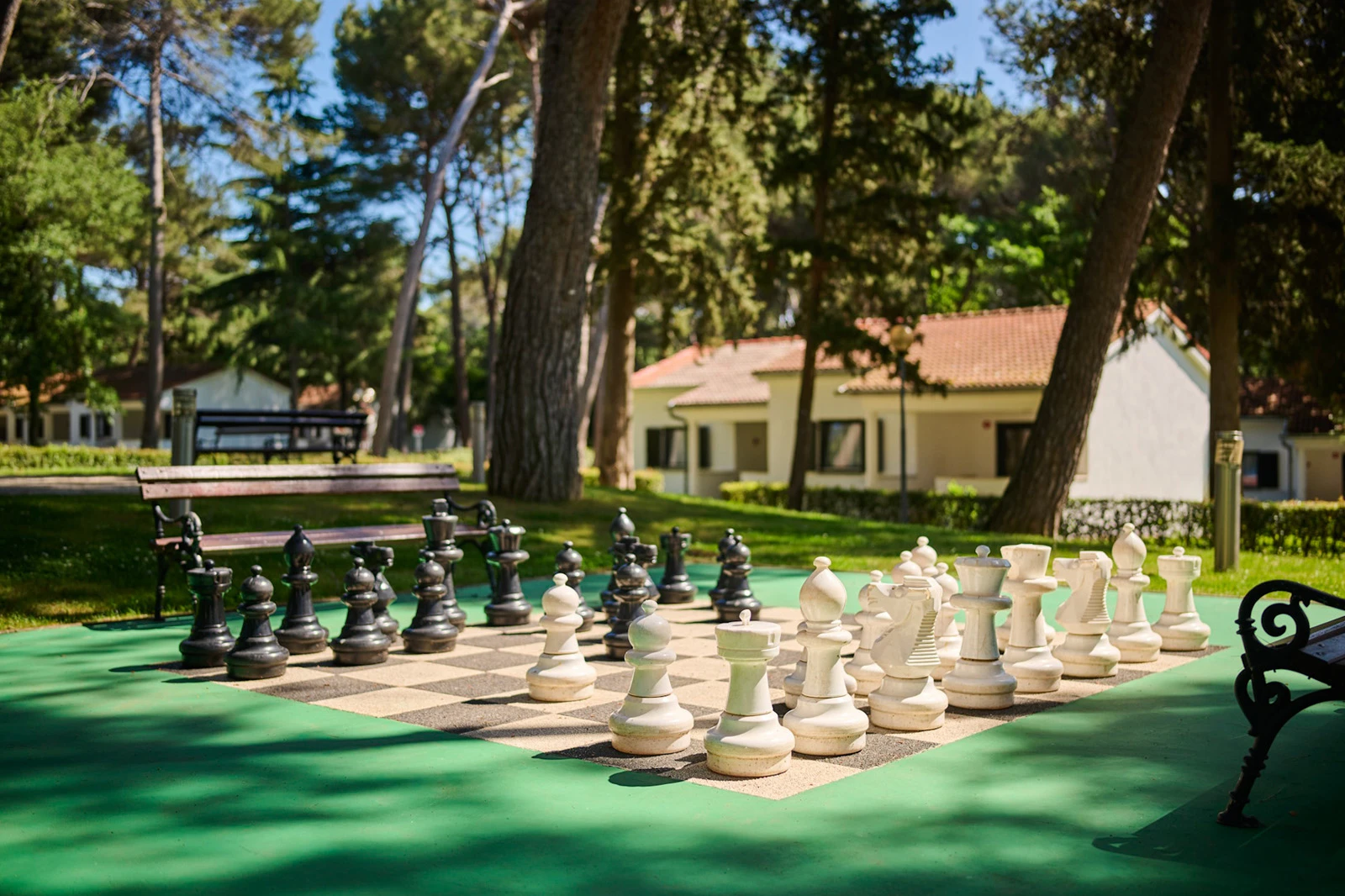 Oferta Village Galijot Plava Laguna – miniaturka 3