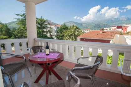 Oferta Hotel Dimic Ellite – miniaturka 3