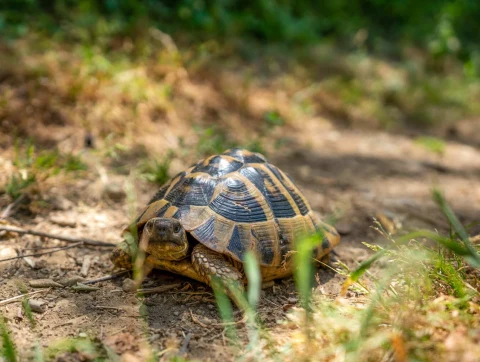 Wycieczka fakultatywna Kanion Holta - zdjęcie 8