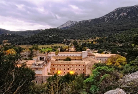 Wycieczka fakultatywna TOP wycieczka objazdowa: Sa Calobra, Droga Węża, Sóller i Puerto de Sóller — 4 środki transportu (strefa południowa) - zdjęcie 2