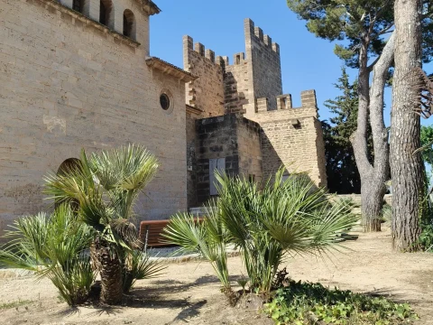 Wycieczka fakultatywna Alcudia, Formentor& Es Colomer - rajskie plaże i spektakularne widoki północnej Majorki - zdjęcie 2
