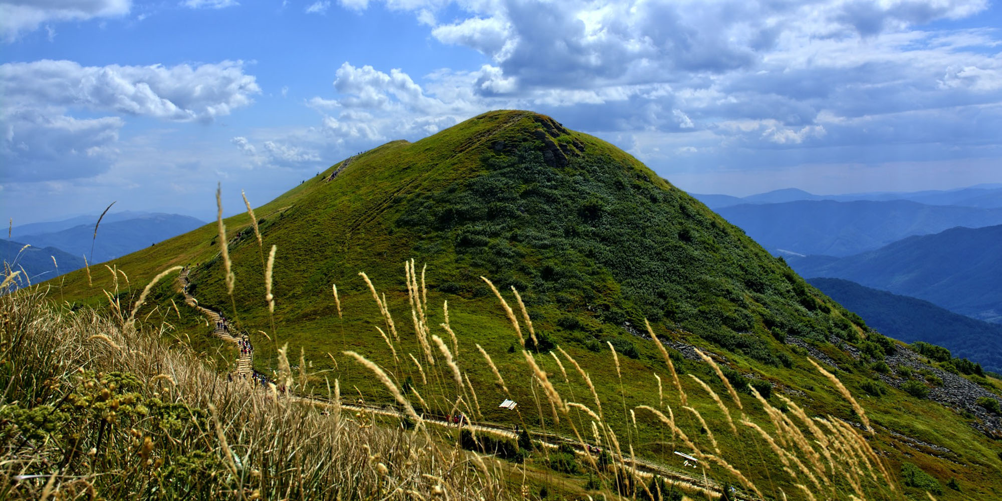 Tarnica, Szlak turystyczny, Góry, Najwyższy szczyt, Bieszczady, 