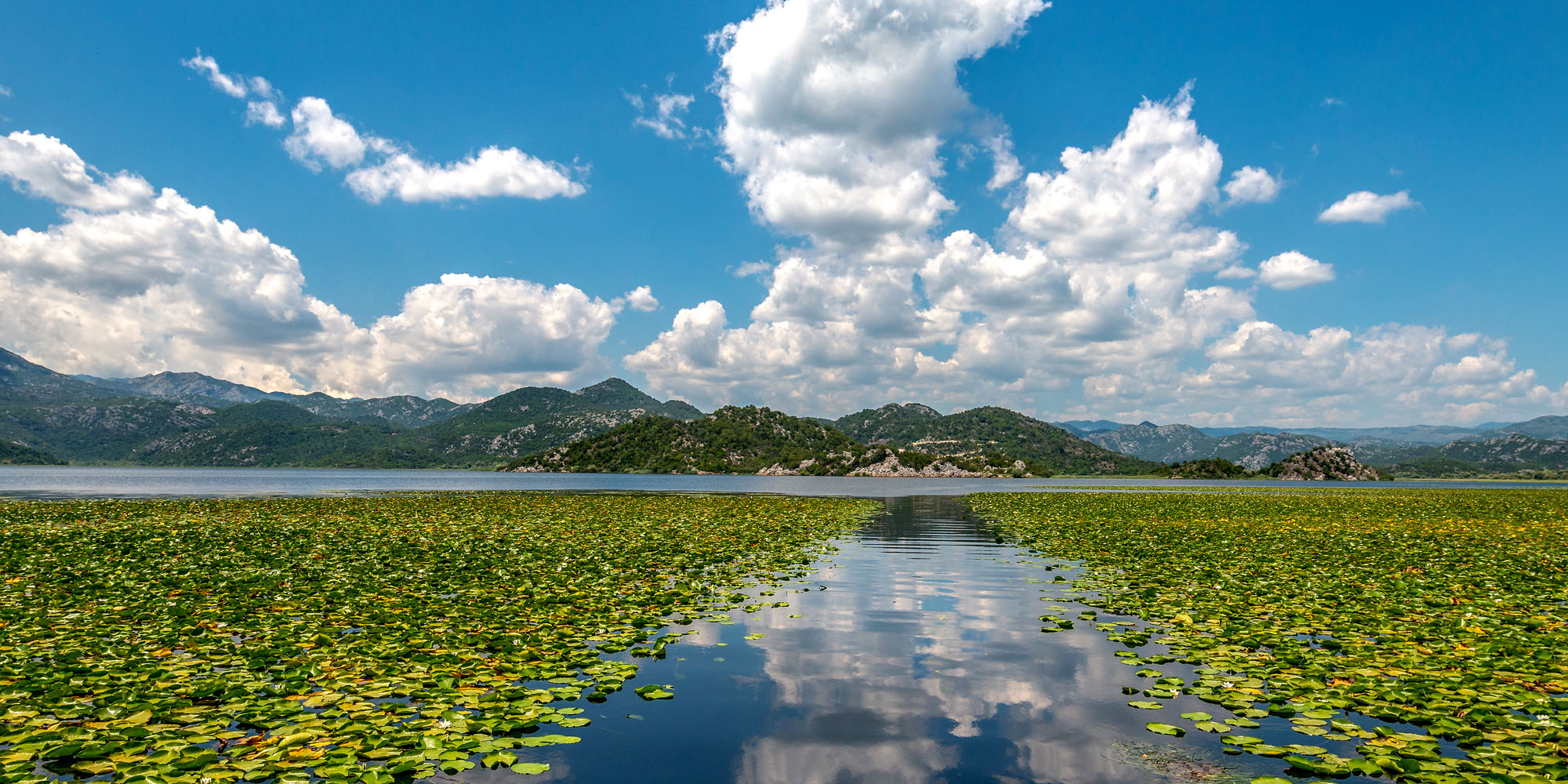 Jezioro Szkoderskie, Szkodra, Albania